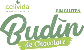 Budín Chocolate